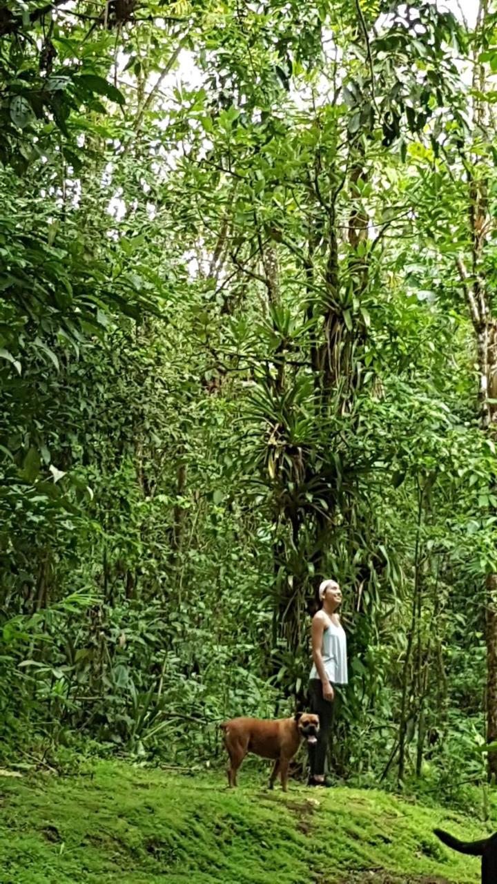 Hotel Brisas Arenal La Fortuna ภายนอก รูปภาพ