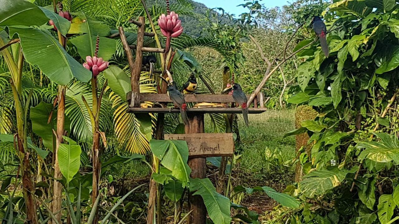 Hotel Brisas Arenal La Fortuna ภายนอก รูปภาพ